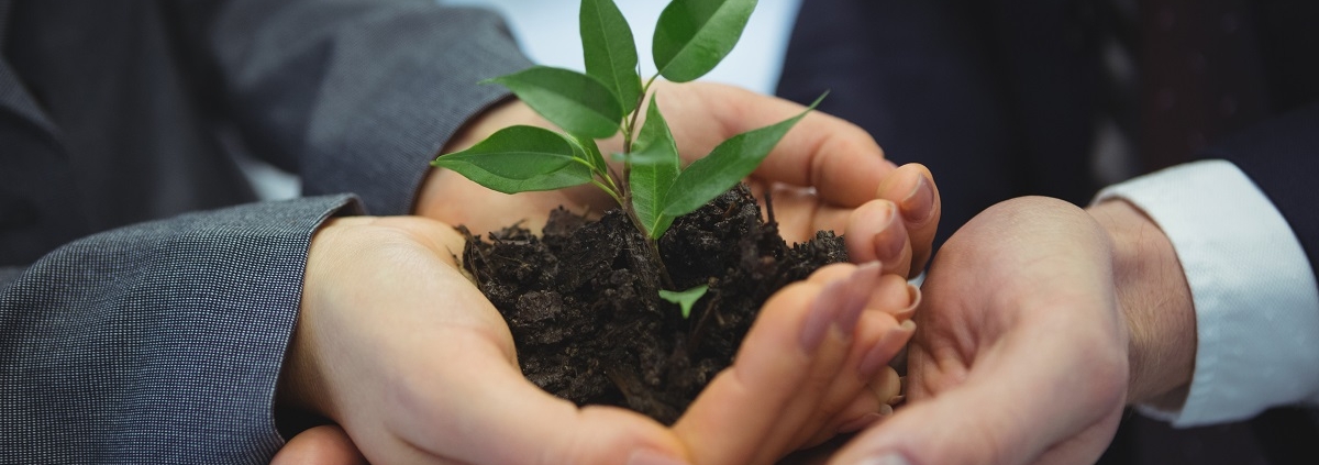 empresas-respetuosas-con-el-medio-ambiente