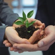 empresas-respetuosas-con-el-medio-ambiente